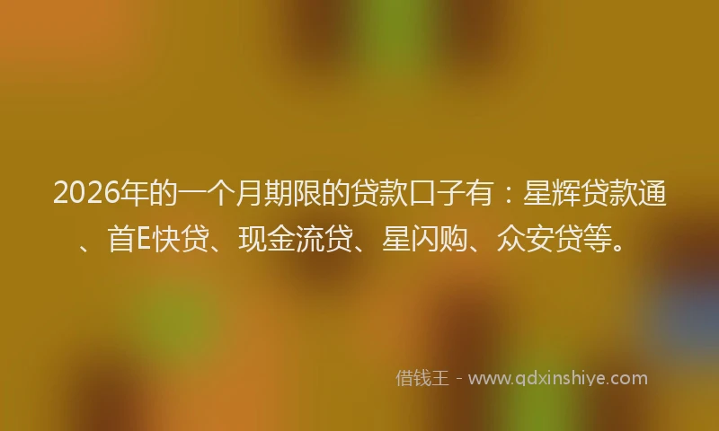 2026年的一个月期限的贷款口子有：星辉贷款通、首E快贷、现金流贷、星闪购、众安贷等。