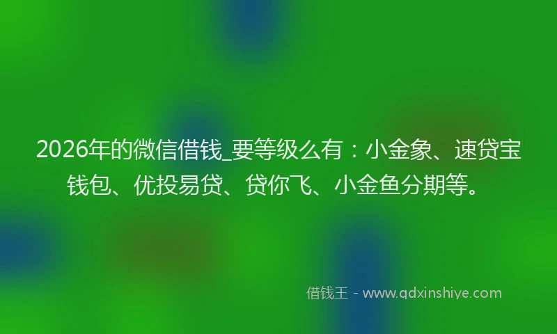 2026年的微信借钱_要等级么有:小金象、速贷宝钱包、优投易贷、贷你飞、小金鱼分期等。