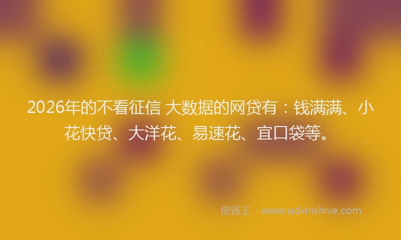 2026年的不看征信 大数据的网贷有:钱满满、小花快贷、大洋花、易速花、宜口袋等。