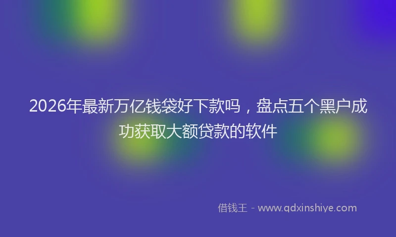 2026年最新万亿钱袋好下款吗，盘点五个黑户成功获取大额贷款的软件