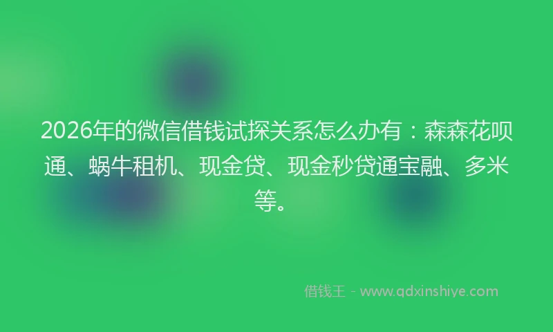 2026年的微信借钱试探关系怎么办有：森森花呗通、蜗牛租机、现金贷、现金秒贷通宝融、多米等。