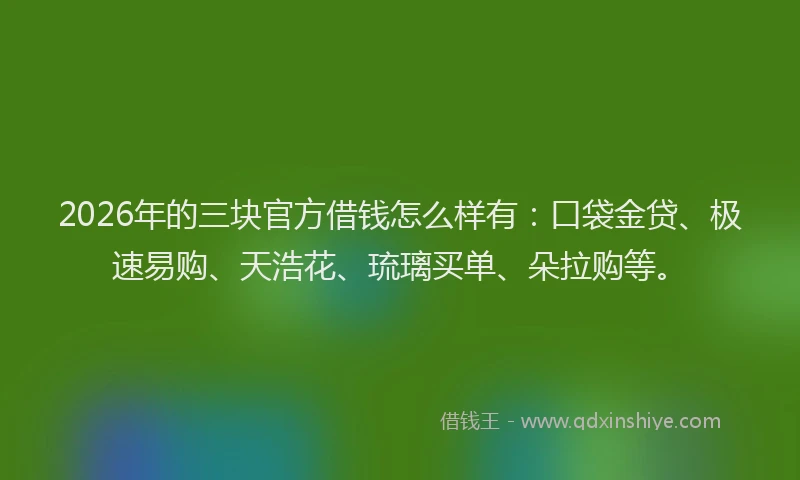 2026年的三块官方借钱怎么样有:口袋金贷、极速易购、天浩花、琉璃买单、朵拉购等。