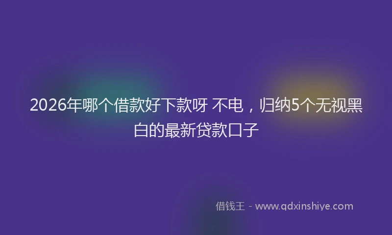 2026年哪个借款好下款呀 不电，归纳5个无视黑白的最新贷款口子