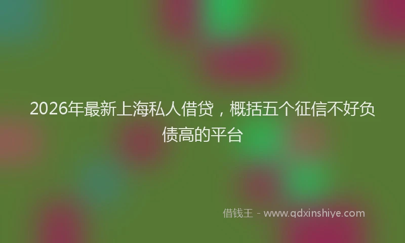 2026年最新上海私人借贷，概括五个征信不好负债高的平台