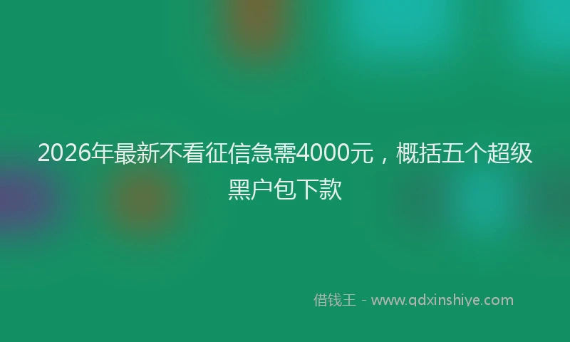 2026年最新不看征信急需4000元，概括五个超级黑户包下款