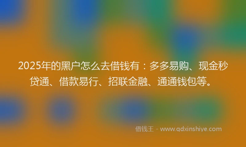 2025年的黑户怎么去借钱有：多多易购、现金秒贷通、借款易行、招联金融、通通钱包等。