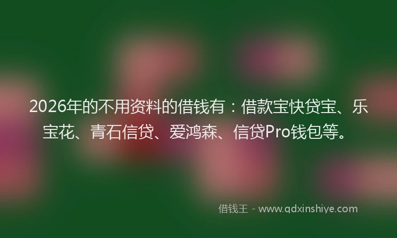 2026年的不用资料的借钱有：借款宝快贷宝、乐宝花、青石信贷、爱鸿森、信贷Pro钱包等。