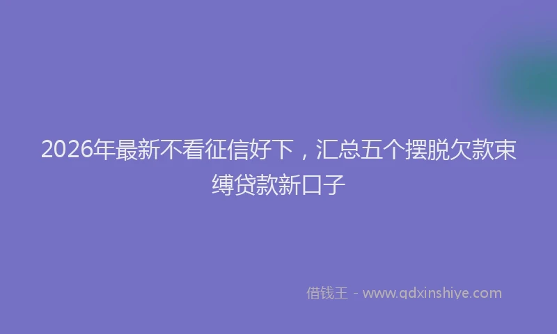 2026年最新不看征信好下，汇总五个摆脱欠款束缚贷款新口子