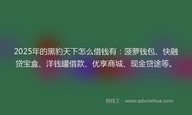 2025年的黑豹天下怎么借钱有：菠萝钱包、快融贷宝盒、洋钱罐借款、优享商城、现金贷途等。