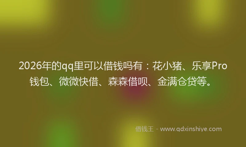 2026年的qq里可以借钱吗有:花小猪、乐享Pro钱包、微微快借、森森借呗、金满仓贷等。