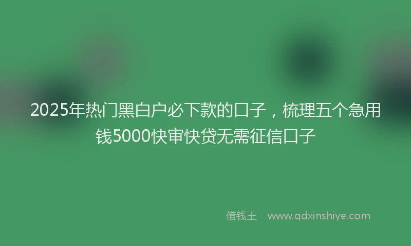 2025年热门黑白户必下款的口子，梳理五个急用钱5000快审快贷无需征信口子