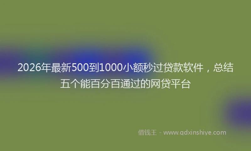 2026年最新500到1000小额秒过贷款软件，总结五个能百分百通过的网贷平台