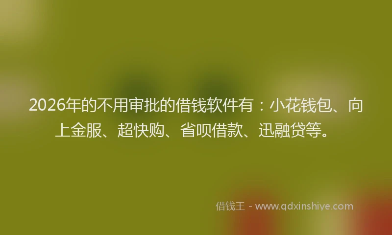 2026年的不用审批的借钱软件有：小花钱包、向上金服、超快购、省呗借款、迅融贷等。