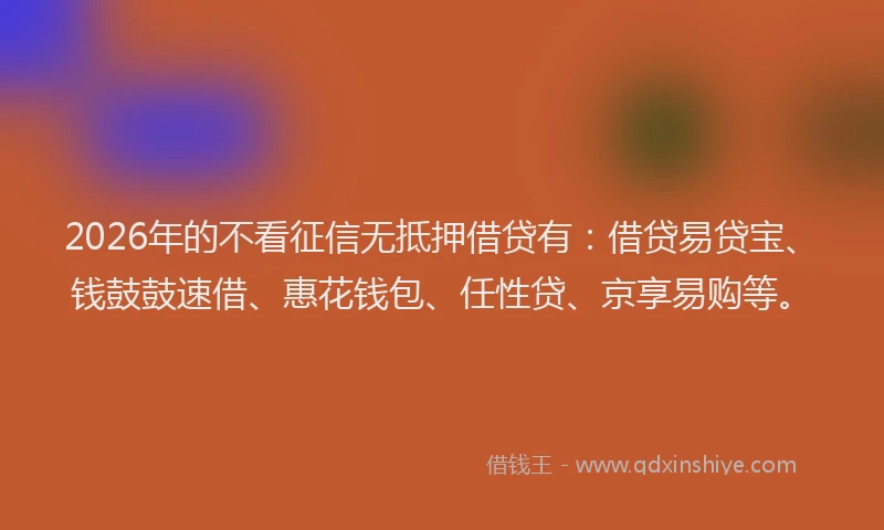 2026年的不看征信无抵押借贷有:借贷易贷宝、钱鼓鼓速借、惠花钱包、任性贷、京享易购等。