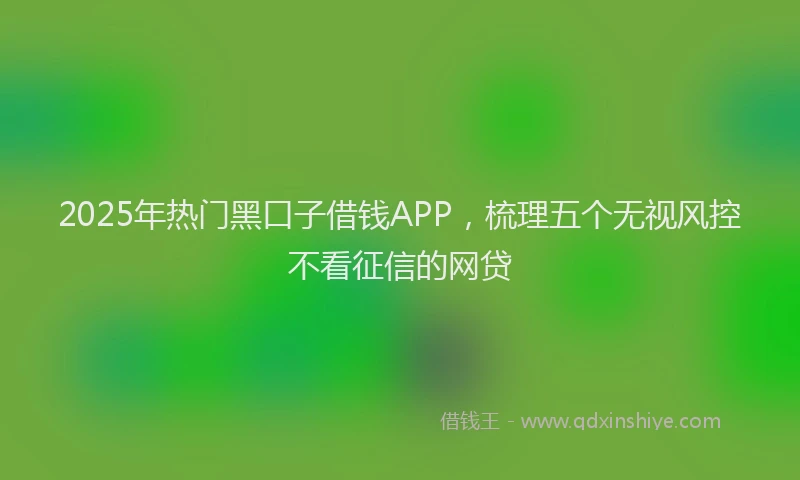 2025年热门黑口子借钱APP，梳理五个无视风控不看征信的网贷