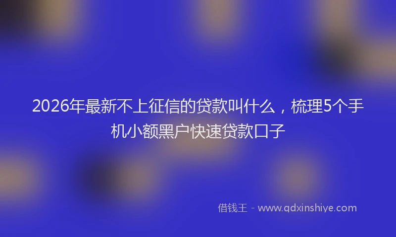 2026年最新不上征信的贷款叫什么，梳理5个手机小额黑户快速贷款口子