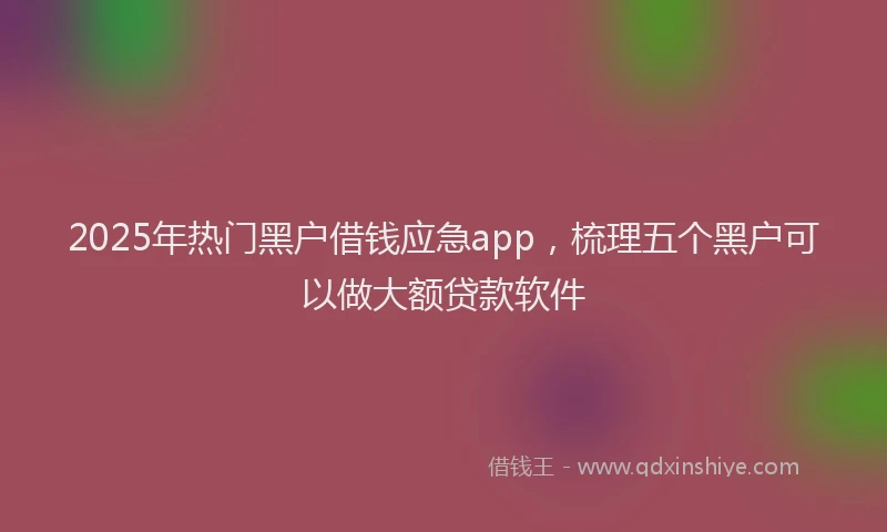 2025年热门黑户借钱应急app，梳理五个黑户可以做大额贷款软件