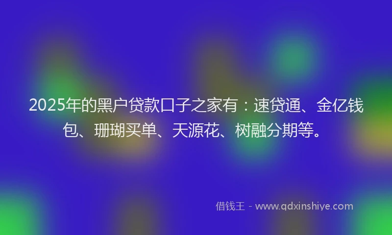 2025年的黑户贷款口子之家有：速贷通、金亿钱包、珊瑚买单、天源花、树融分期等。