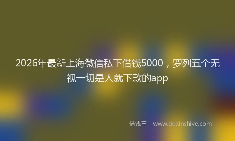 2026年最新上海微信私下借钱5000，罗列五个无视一切是人就下款的app