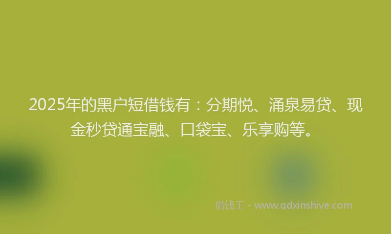 2025年的黑户短借钱有:分期悦、涌泉易贷、现金秒贷通宝融、口袋宝、乐享购等。