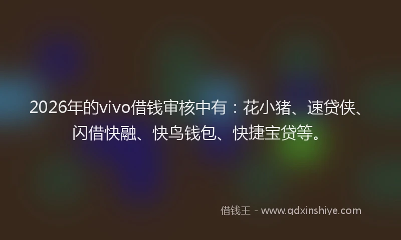 2026年的vivo借钱审核中有：花小猪、速贷侠、闪借快融、快鸟钱包、快捷宝贷等。