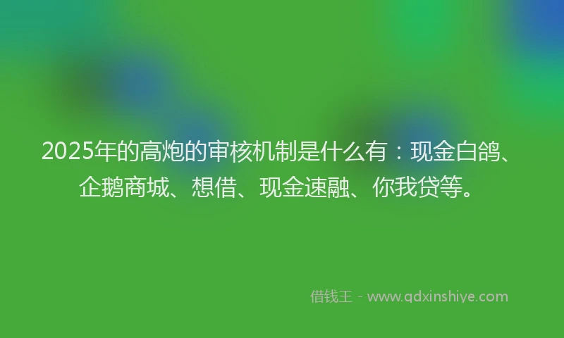 2025年的高炮的审核机制是什么有：现金白鸽、企鹅商城、想借、现金速融、你我贷等。