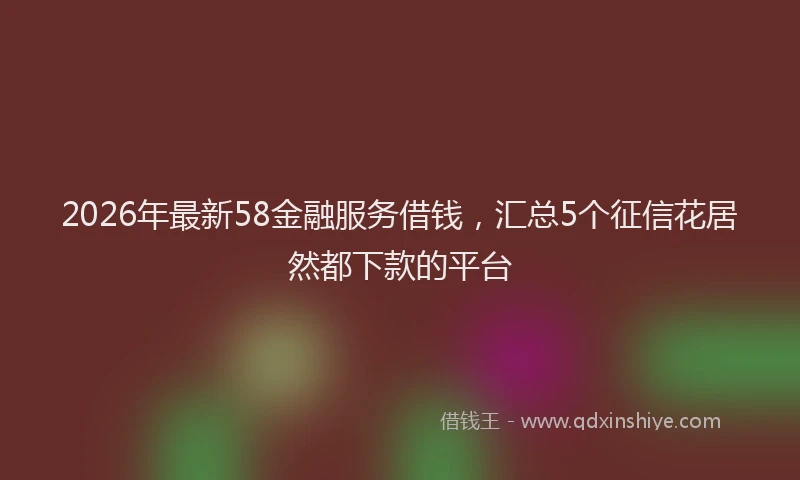 2026年最新58金融服务借钱，汇总5个征信花居然都下款的平台