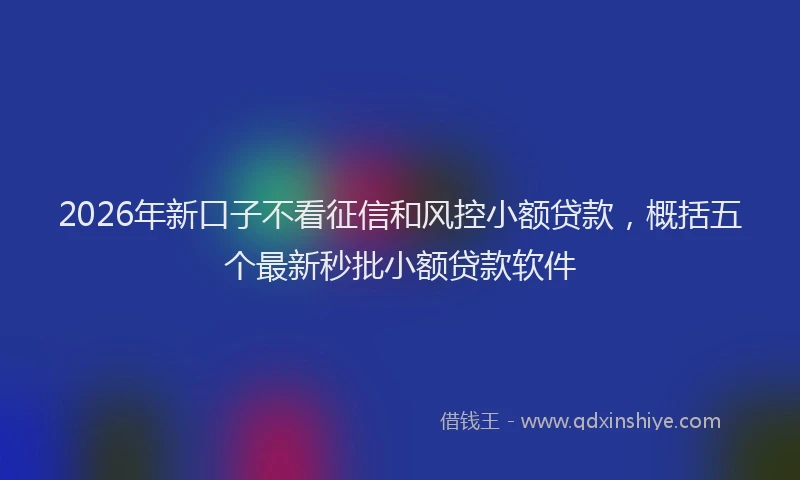 2026年新口子不看征信和风控小额贷款，概括五个最新秒批小额贷款软件