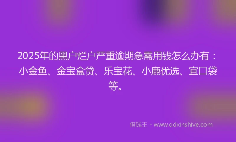 2025年的黑户烂户严重逾期急需用钱怎么办有:小金鱼、金宝盒贷、乐宝花、小鹿优选、宜口袋等。