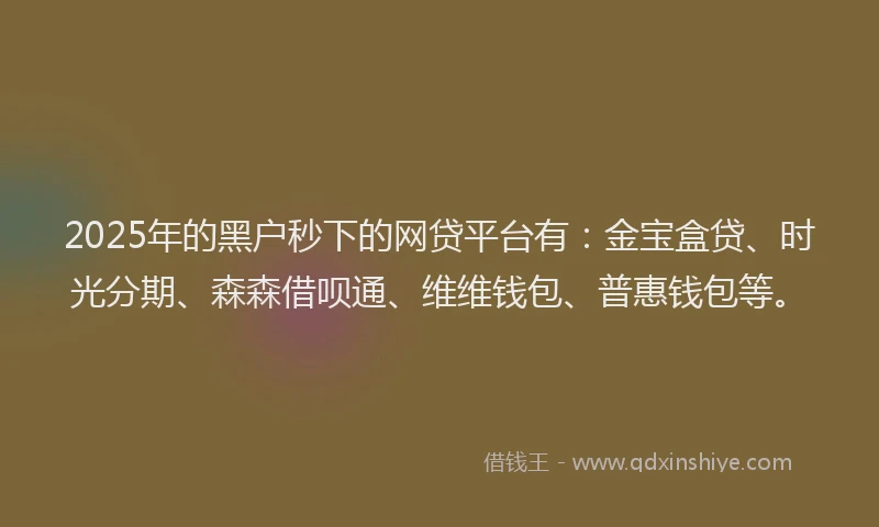 2025年的黑户秒下的网贷平台有：金宝盒贷、时光分期、森森借呗通、维维钱包、普惠钱包等。