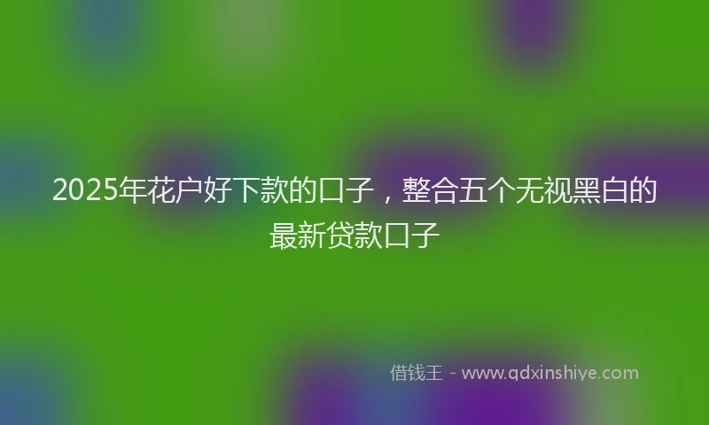 2025年花户好下款的口子，整合五个无视黑白的最新贷款口子