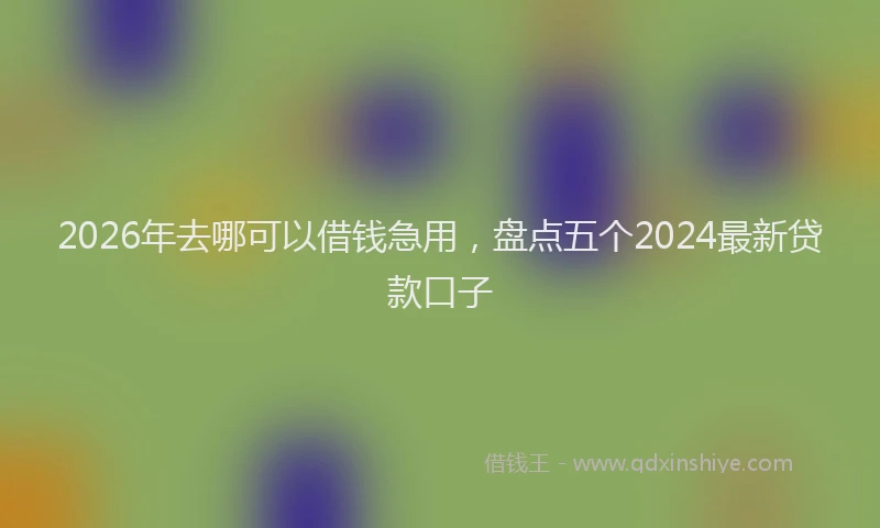 2026年去哪可以借钱急用，盘点五个2024最新贷款口子