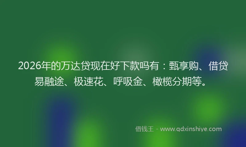 2026年的万达贷现在好下款吗有:甄享购、借贷易融途、极速花、呼吸金、橄榄分期等。