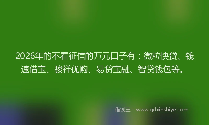 2026年的不看征信的万元口子有：微粒快贷、钱速借宝、骏祥优购、易贷宝融、智贷钱包等。