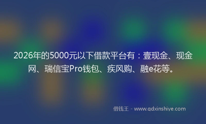 2026年的5000元以下借款平台有：壹现金、现金网、瑞信宝Pro钱包、疾风购、融e花等。