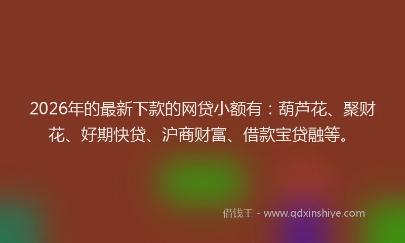 2026年的最新下款的网贷小额有:葫芦花、聚财花、好期快贷、沪商财富、借款宝贷融等。