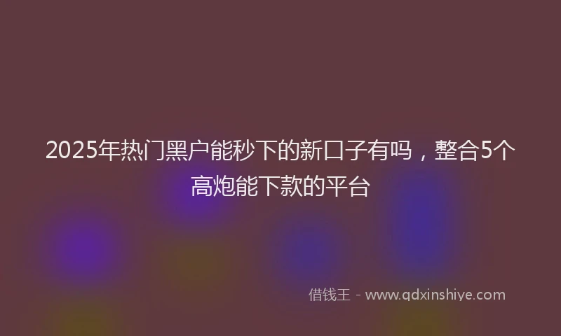 2025年热门黑户能秒下的新口子有吗,整合5个高炮能下款的平台