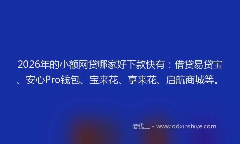2026年的小额网贷哪家好下款快有：借贷易贷宝、安心Pro钱包、宝来花、享来花、启航商城等。