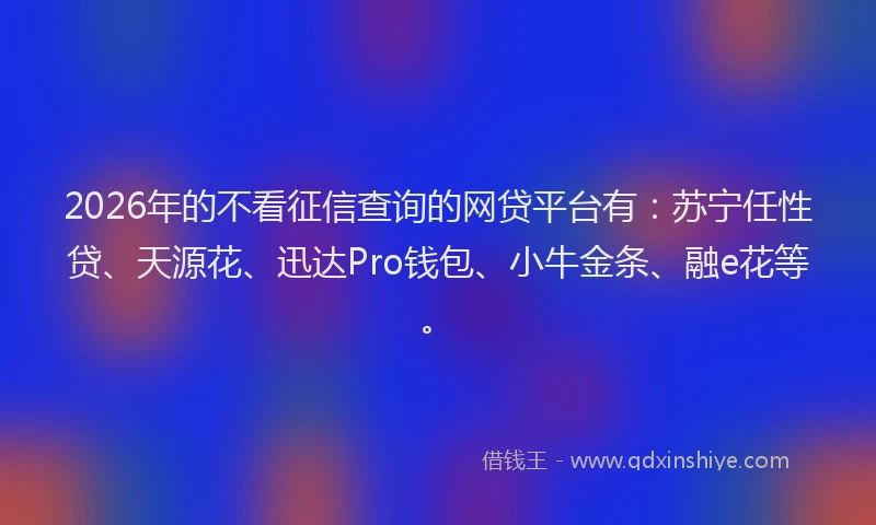 2026年的不看征信查询的网贷平台有:苏宁任性贷、天源花、迅达Pro钱包、小牛金条、融e花等。