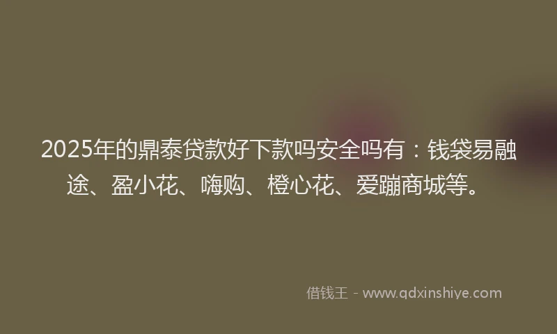 2025年的鼎泰贷款好下款吗安全吗有：钱袋易融途、盈小花、嗨购、橙心花、爱蹦商城等。