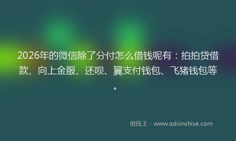 2026年的微信除了分付怎么借钱呢有:拍拍贷借款、向上金服、还呗、翼支付钱包、飞猪钱包等。