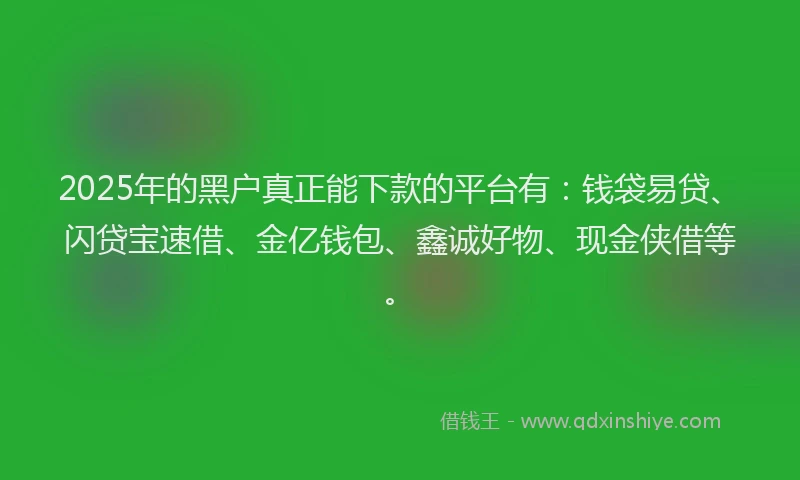2025年的黑户真正能下款的平台有：钱袋易贷、闪贷宝速借、金亿钱包、鑫诚好物、现金侠借等。