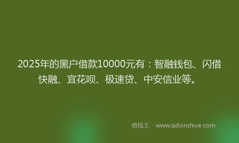 2025年的黑户借款10000元有：智融钱包、闪借快融、宜花呗、极速贷、中安信业等。
