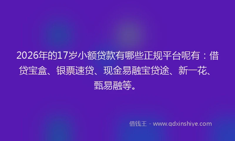 2026年的17岁小额贷款有哪些正规平台呢有：借贷宝盒、银票速贷、现金易融宝贷途、新一花、甄易融等。