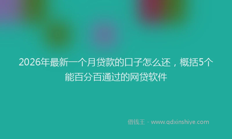 2026年最新一个月贷款的口子怎么还，概括5个能百分百通过的网贷软件