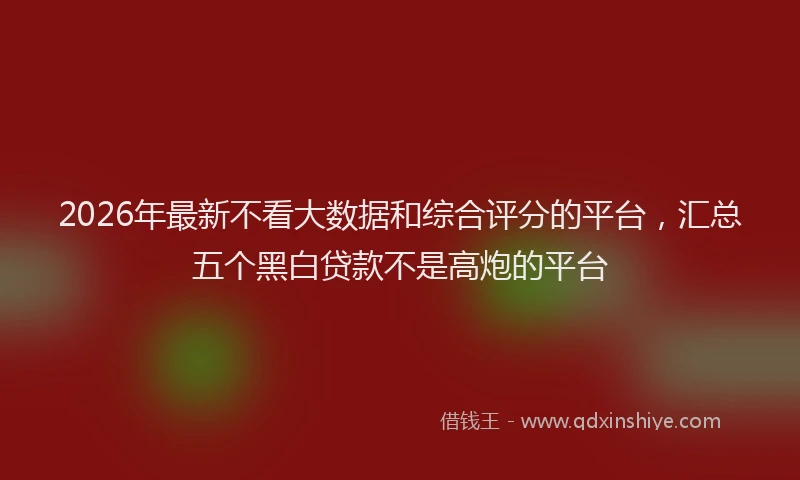 2026年最新不看大数据和综合评分的平台,汇总五个黑白贷款不是高炮的平台