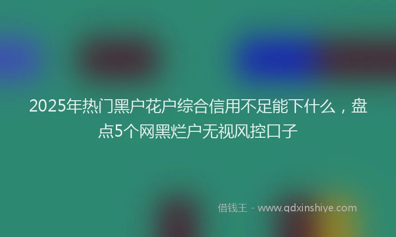 2025年热门黑户花户综合信用不足能下什么，盘点5个网黑烂户无视风控口子
