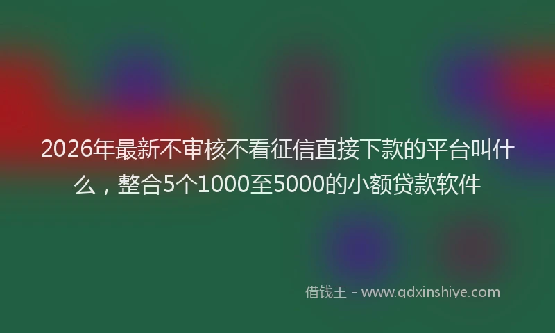 2026年最新不审核不看征信直接下款的平台叫什么，整合5个1000至5000的小额贷款软件