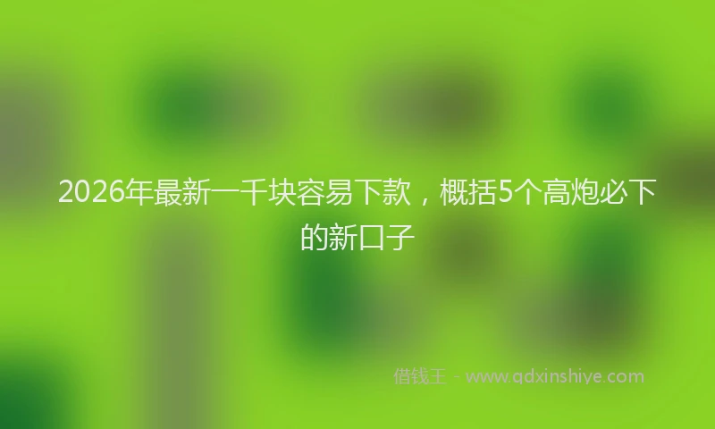 2026年最新一千块容易下款，概括5个高炮必下的新口子