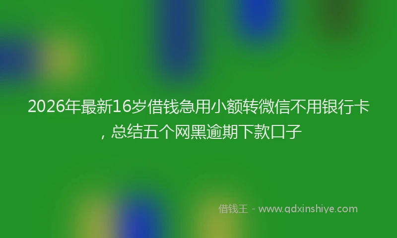 2026年最新16岁借钱急用小额转微信不用银行卡，总结五个网黑逾期下款口子